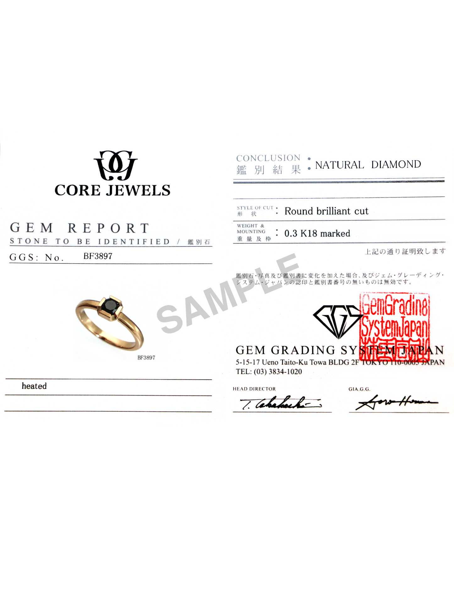 ANTERES03 | EARRING | DIAMOND